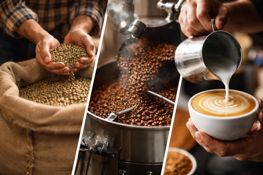 Z3 Speciality Coffee: Excellence in Every Cup