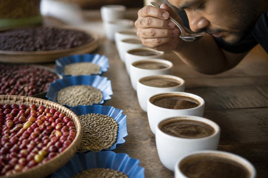 Arabica Specialty Coffee: The Gold Standard in 2026